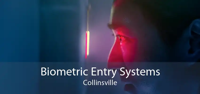 Biometric Entry Systems Collinsville